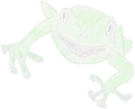 Genuine's illustration of a frog