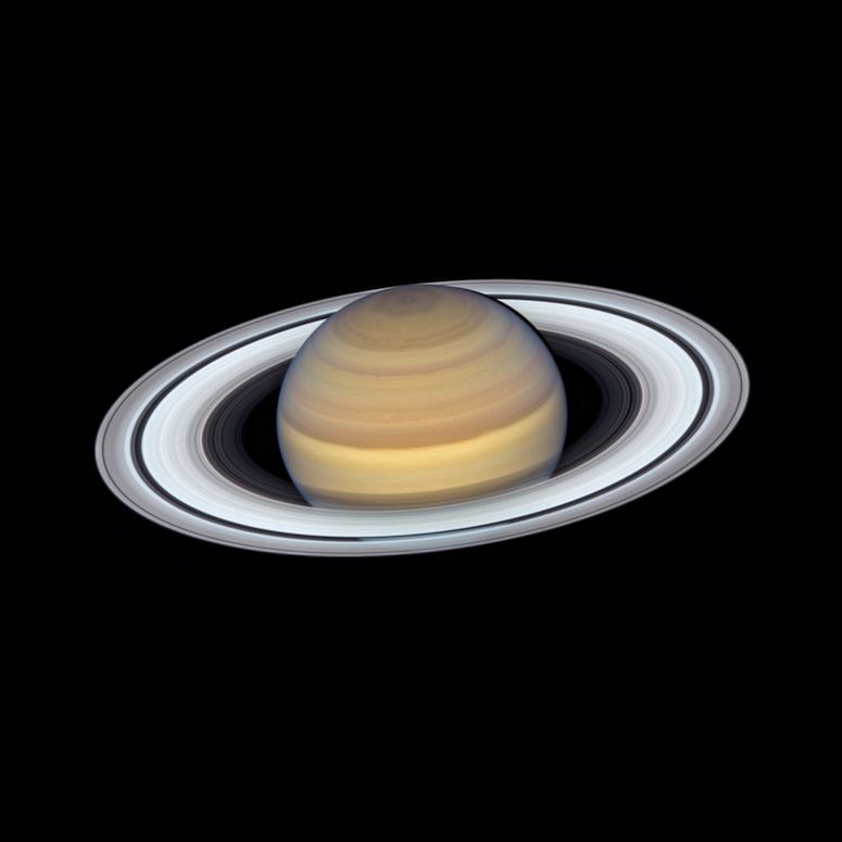 The yellow, ringed planet Saturn floating in the blackness of space